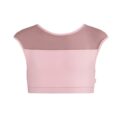 Ashley Mesh Crop Top