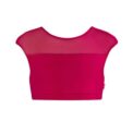 Ashley Mesh Crop Top
