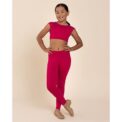 Ashley Mesh Crop Top